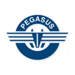 Pegasus Maritime