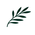Cyprus Airways